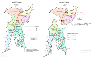A Case Against Prof. Piang of HCU on 2001 and 2011 ST Senapati Data: A Discourse on Comparing Apples and Oranges